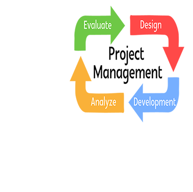 IT Project Management